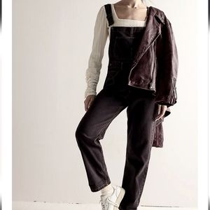 We The Free Ziggy Denim Overalls